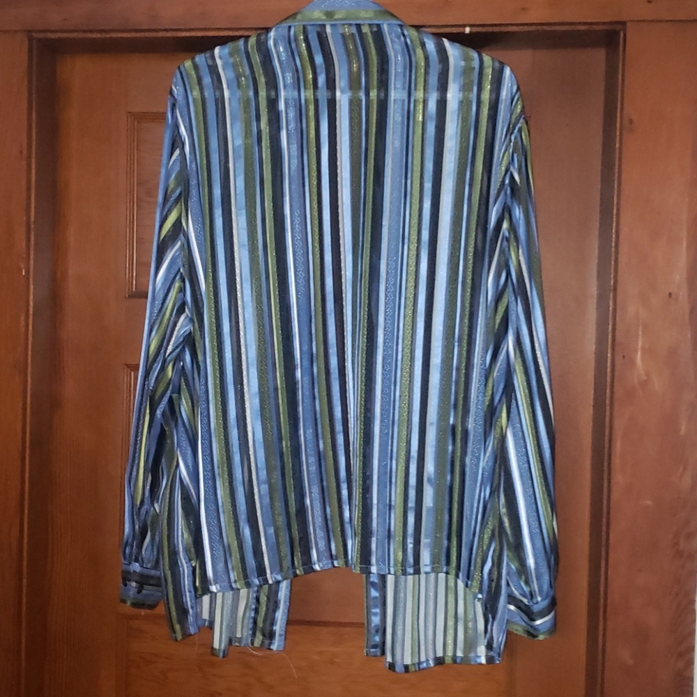 Sheer button up - Picture 3 of 3